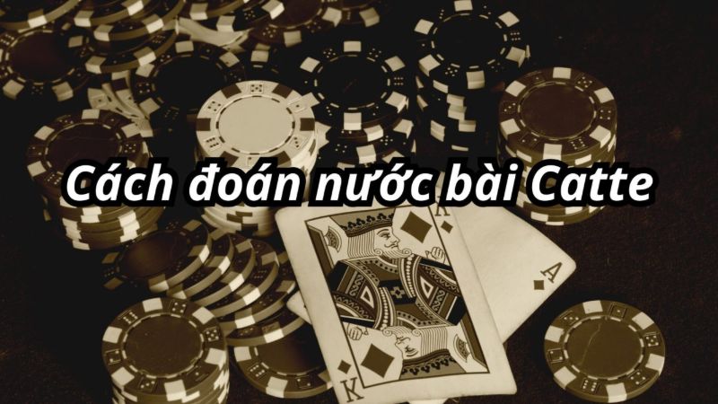 Cách đoán nước bài catte đơn giản