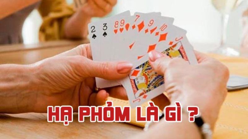 Hạ Phỏm Là Gì: Khái Niệm Cơ Bản